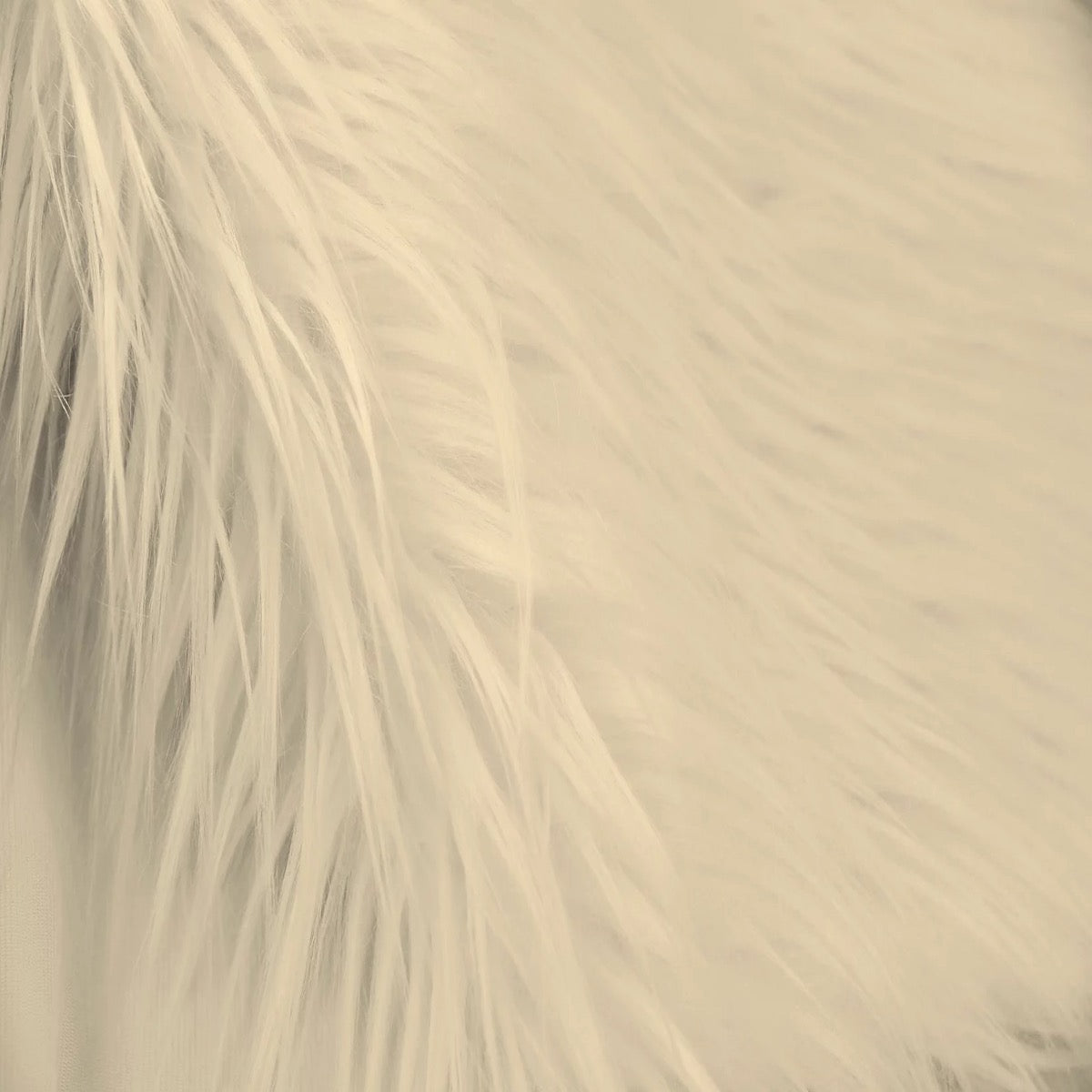 Shaggy Long Pile Faux Fur Fabric (4" Pile)