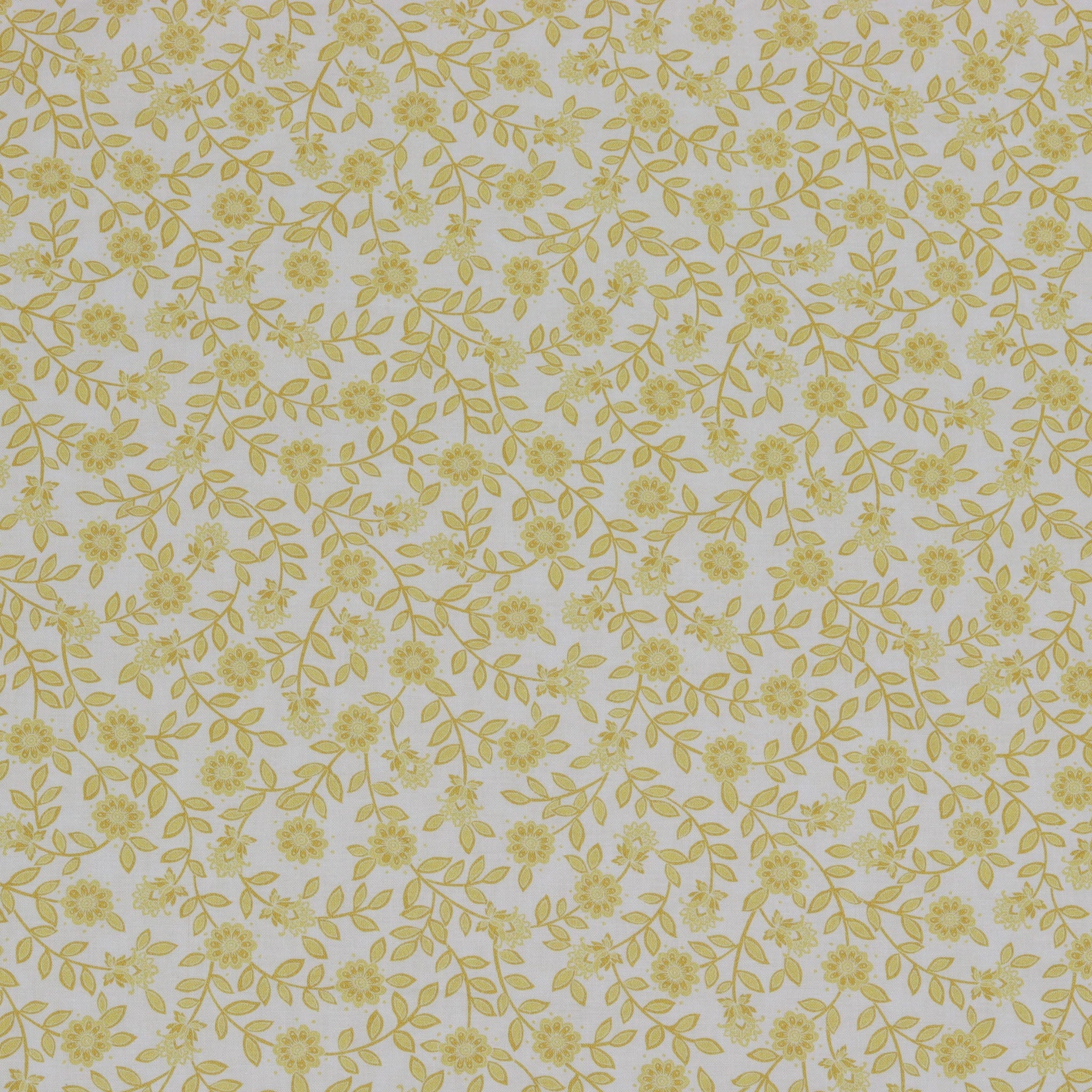 Backings & Basics 108" Wide Quilt Backing Fabric Collection - Field Floral Honey