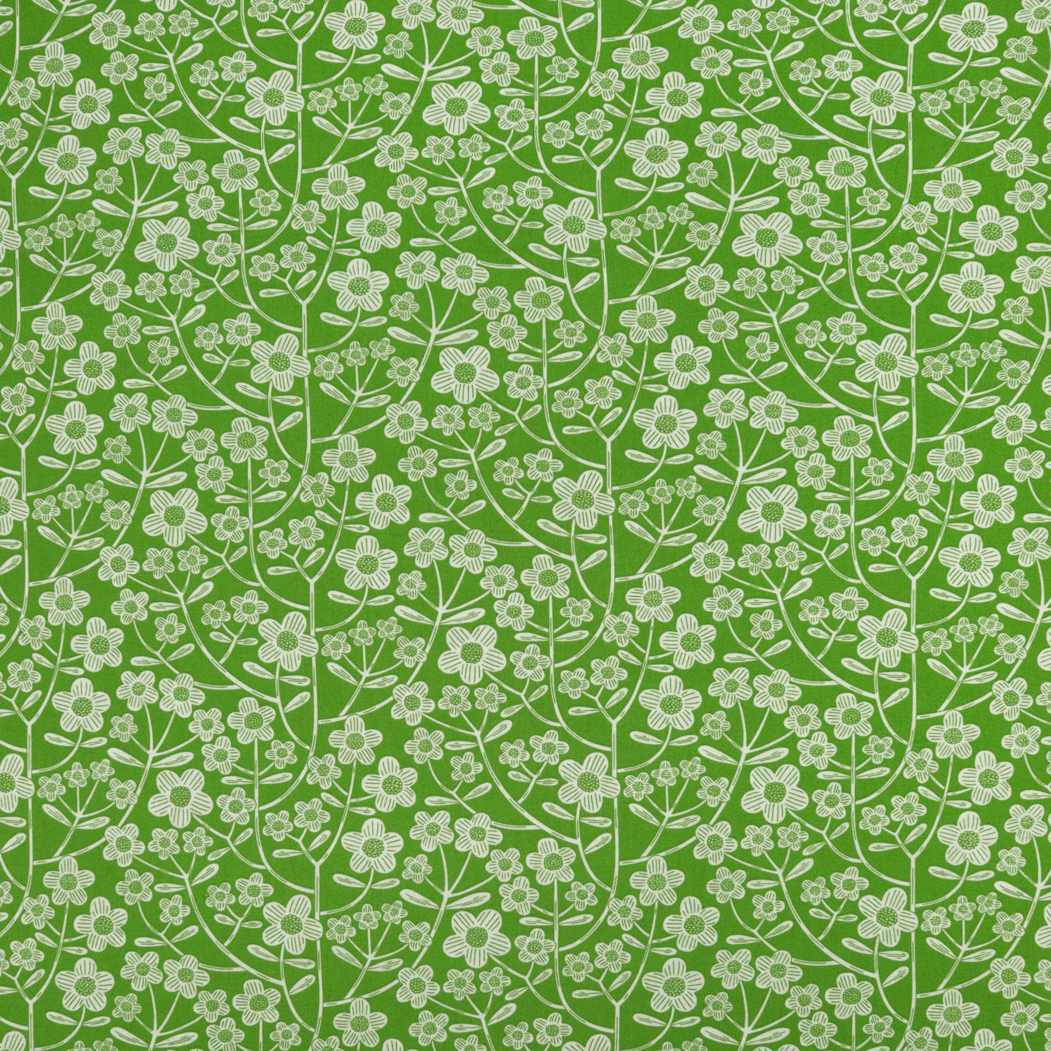 Blooming Color 2 108" Quilt Backing - Brynn Green