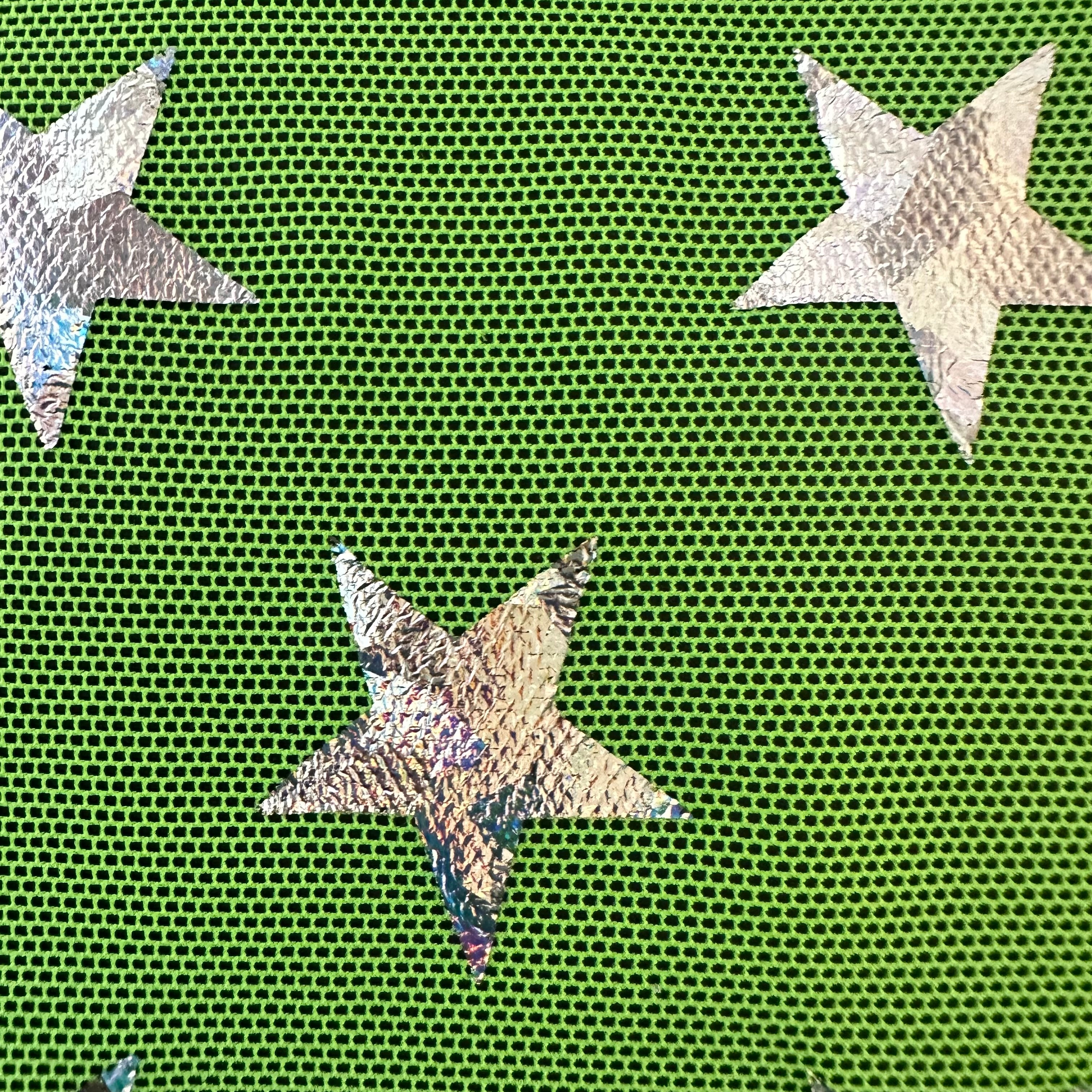 USA Star Nylon Spandex Power Mesh Lime Silver