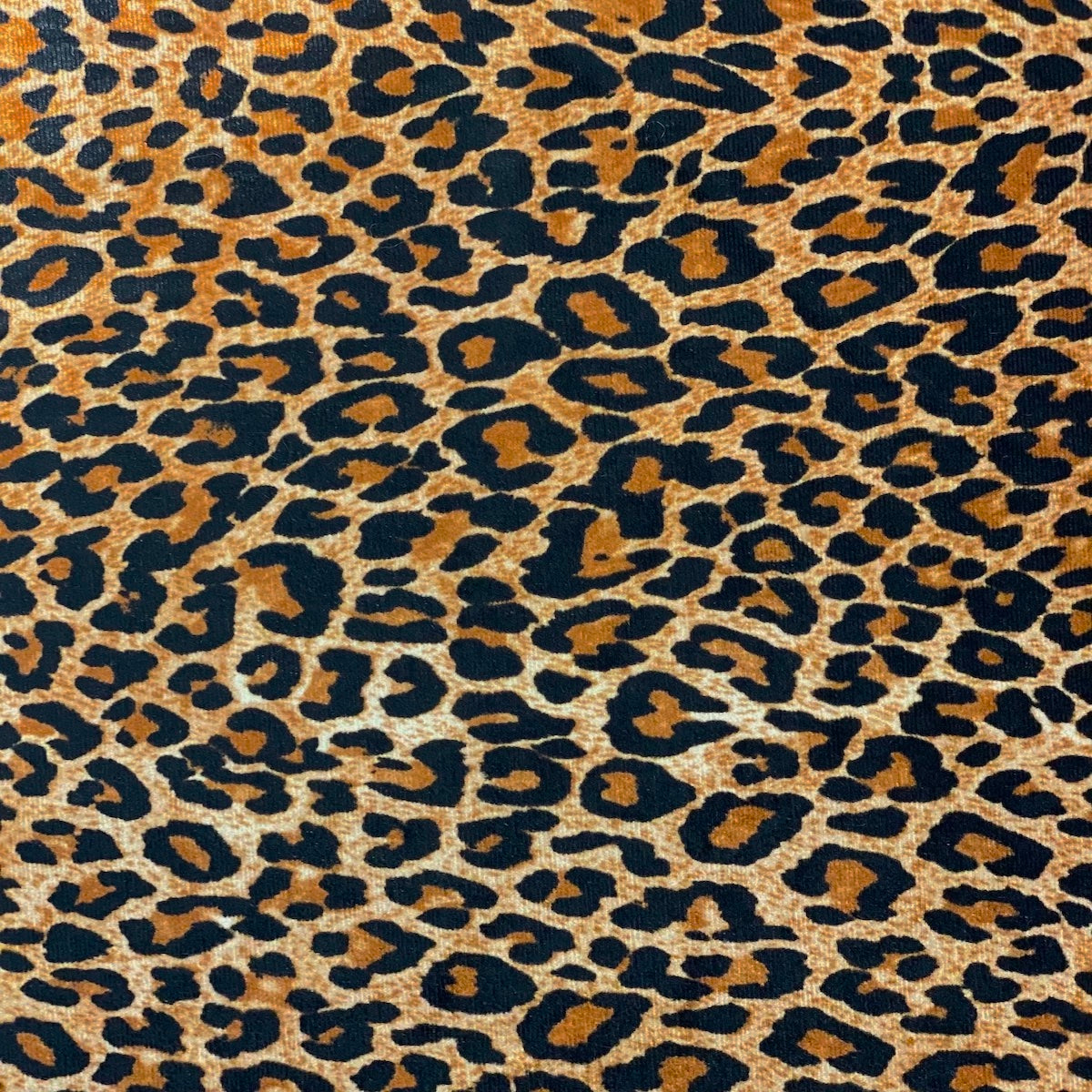 Leopard Print Stretch Velvet Fabric | Spandex Palace