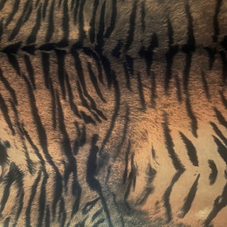 Tiger Foiled Print Polyester Spandex Tricot Fabric | Spandex Palace Brown