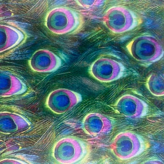 Digital Peacock Stretchy Illusion Foil Print Fabric | Spandex Palace Green