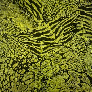 Nylon Spandex Mix Animal Hologram Foil Fabric | Spandex Palace Black Olive