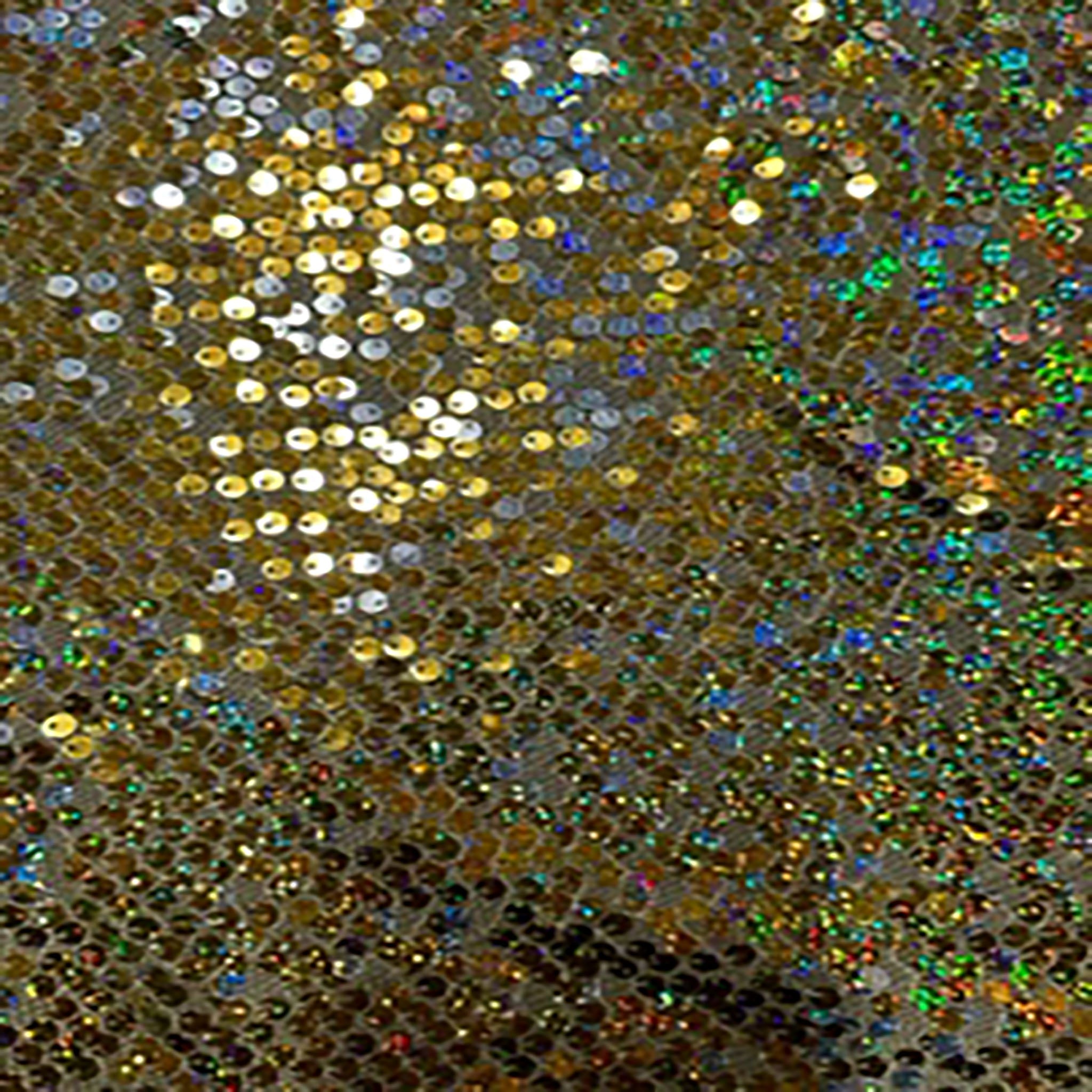 mbroidery Polyester Flipper Sequin On Mesh Fabric | Spandex Palace Gold Silver