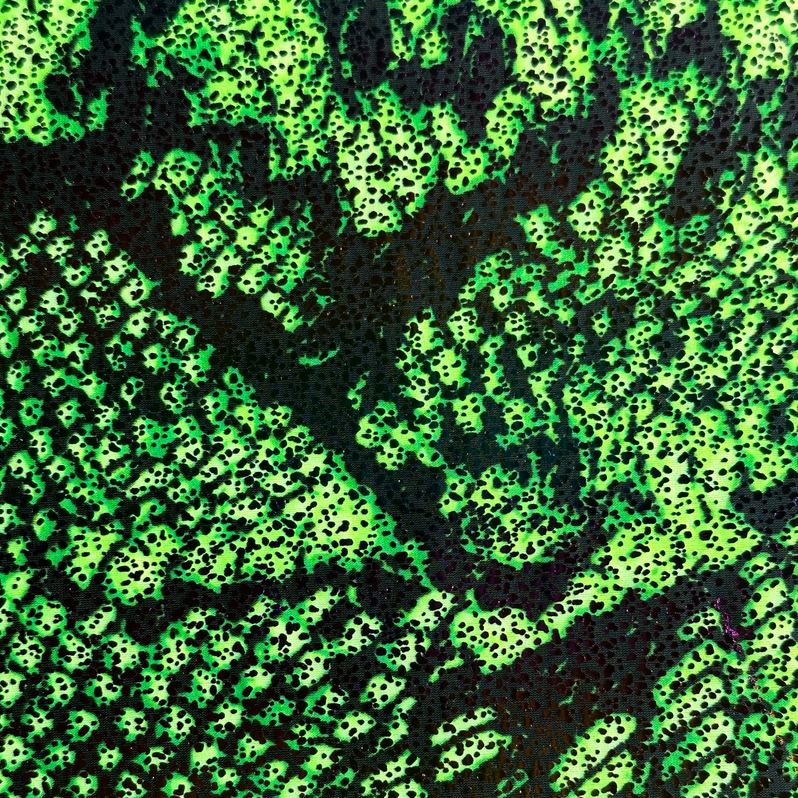 4 Way Nylon Spandex Shiny Anaconda Print | Spandex Palace Lim