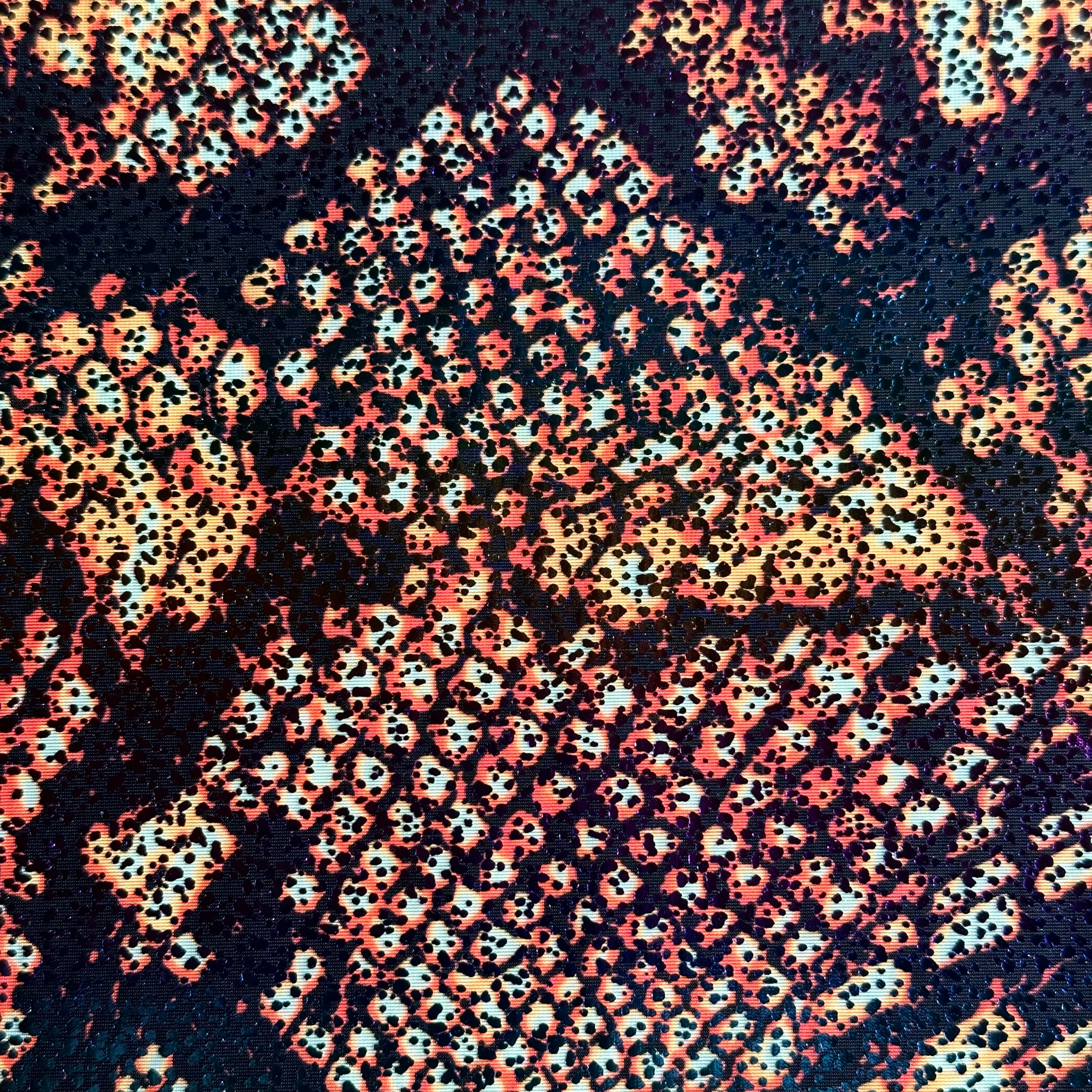 Nylon Spandex Fabric Shiny Anaconda Print l Spandex Palace Orange