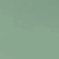 Juniper Cuddle 3 Extra Wide Solid Minky Fabric per yard