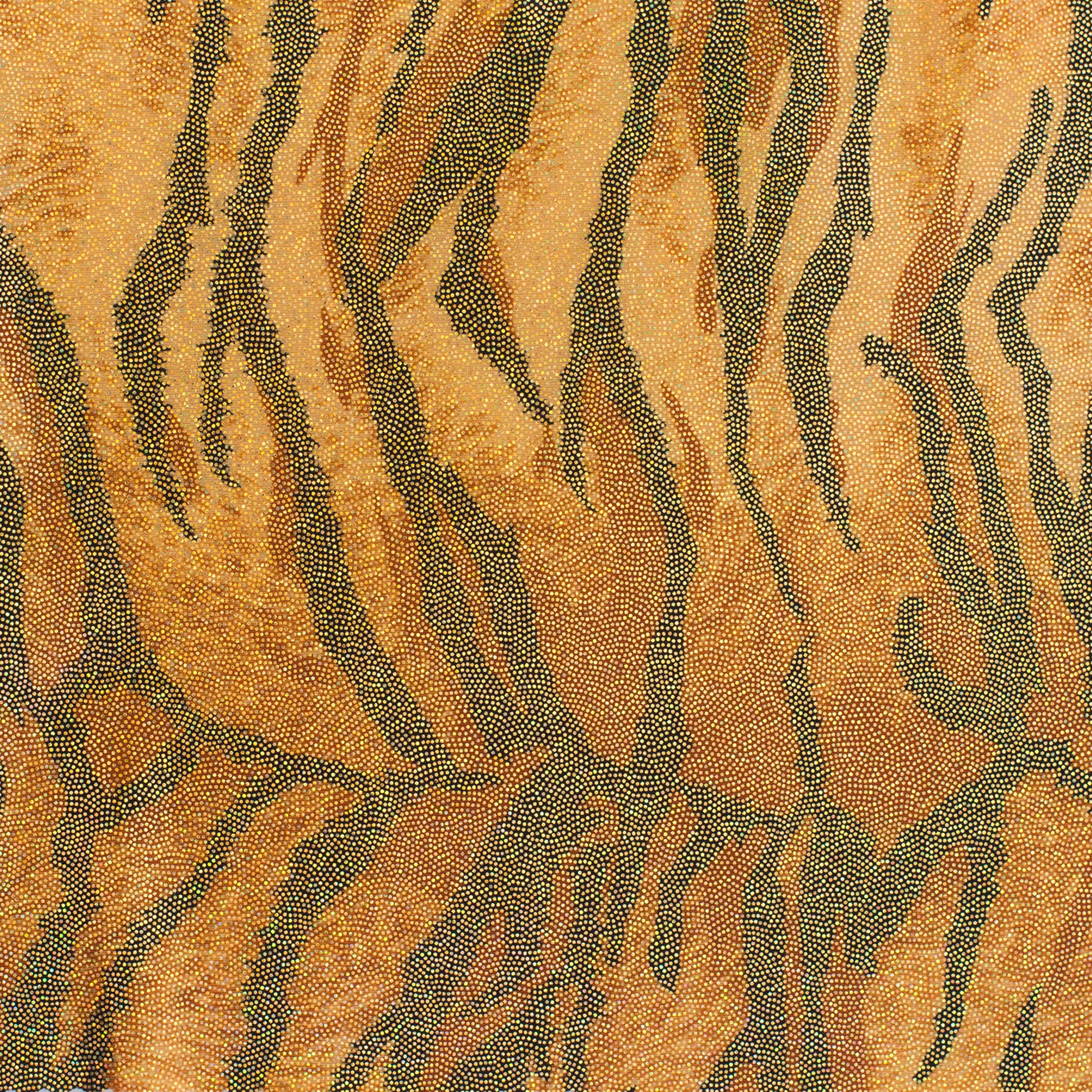 Zebra Hologram 4 Way Stretch Polyester Spandex Fabric | Spandex Palace Gold Hologram