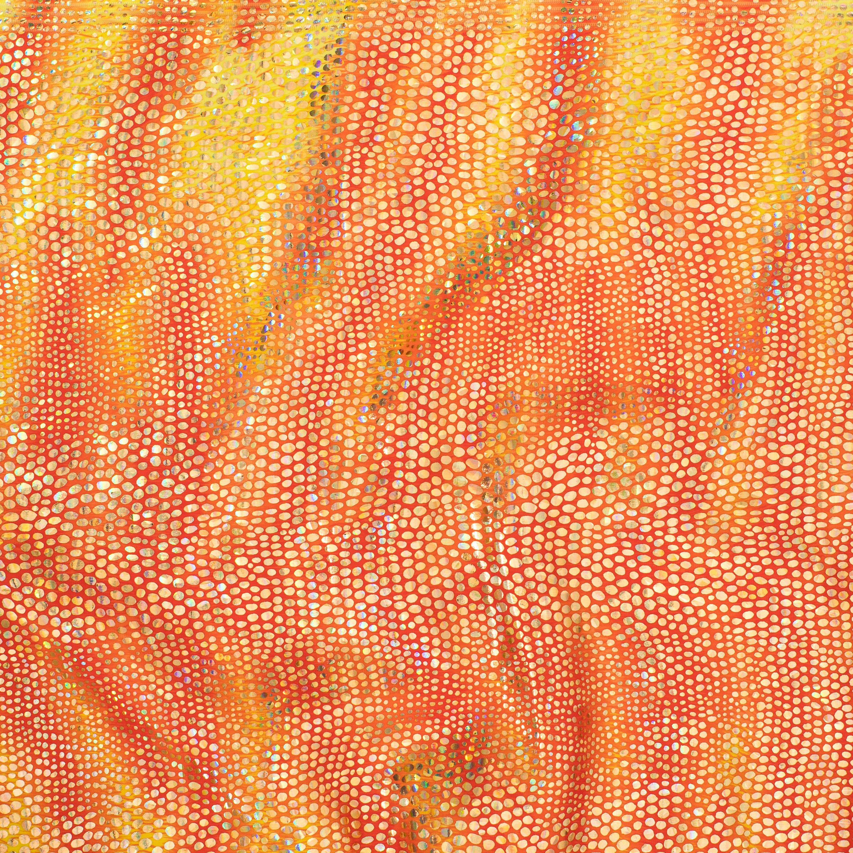 4 Way Nylon Spandex Disco Cobra | Spandex Palace Orange