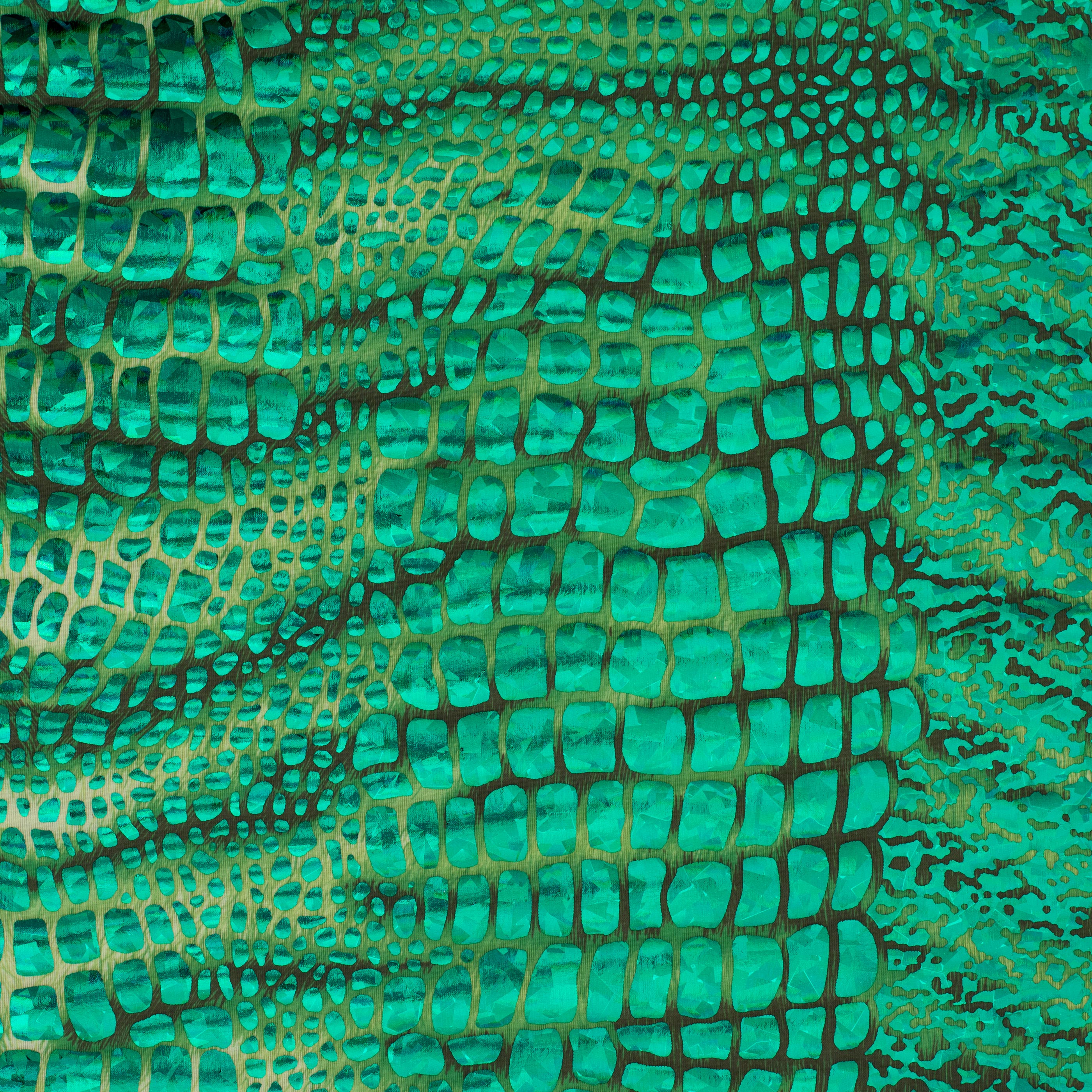 Disco Big Snake Polyester Spandex Hologram Fabric | Spandex Palace Green Green