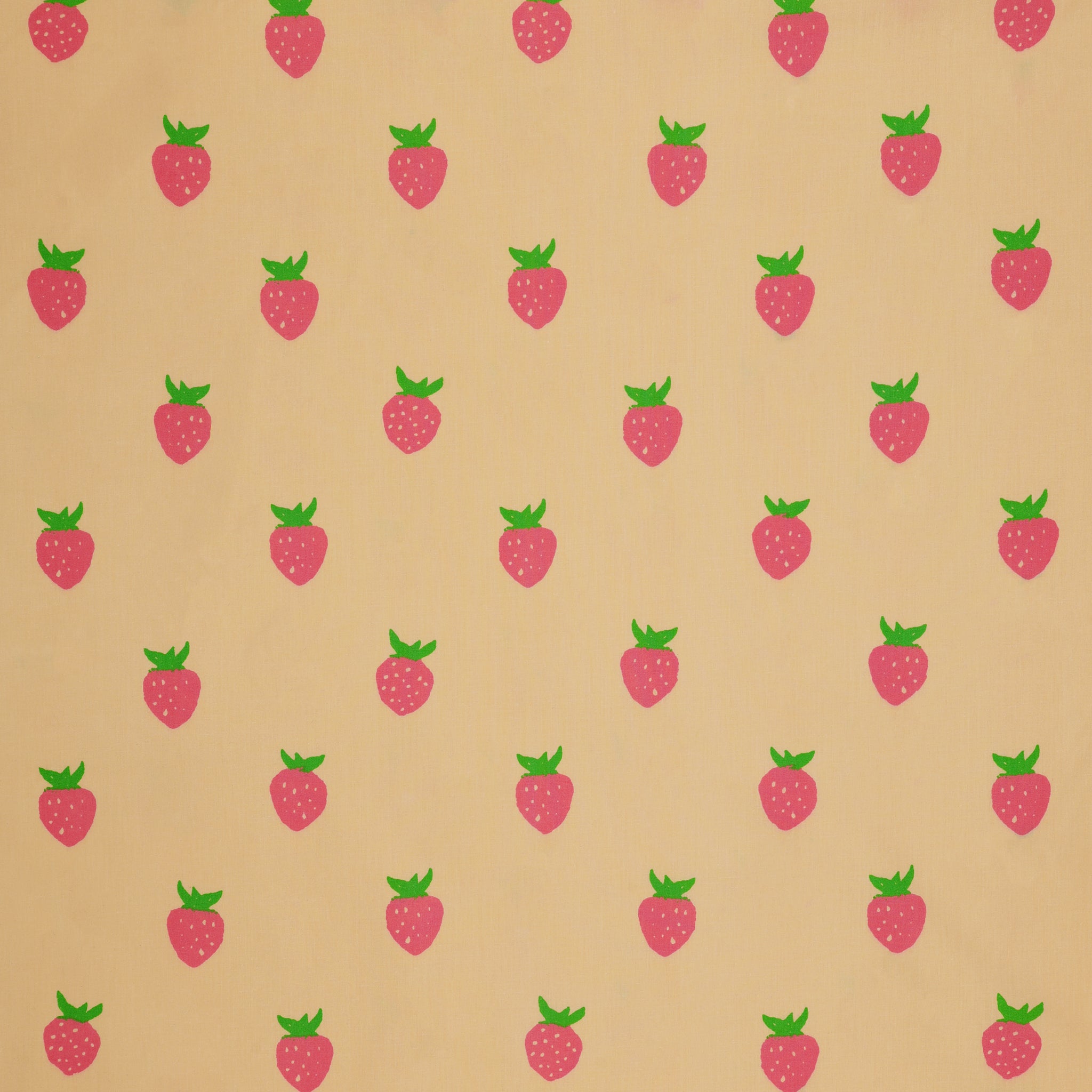 Meadows 108" Wide Quilt Backing - Berry Ecru