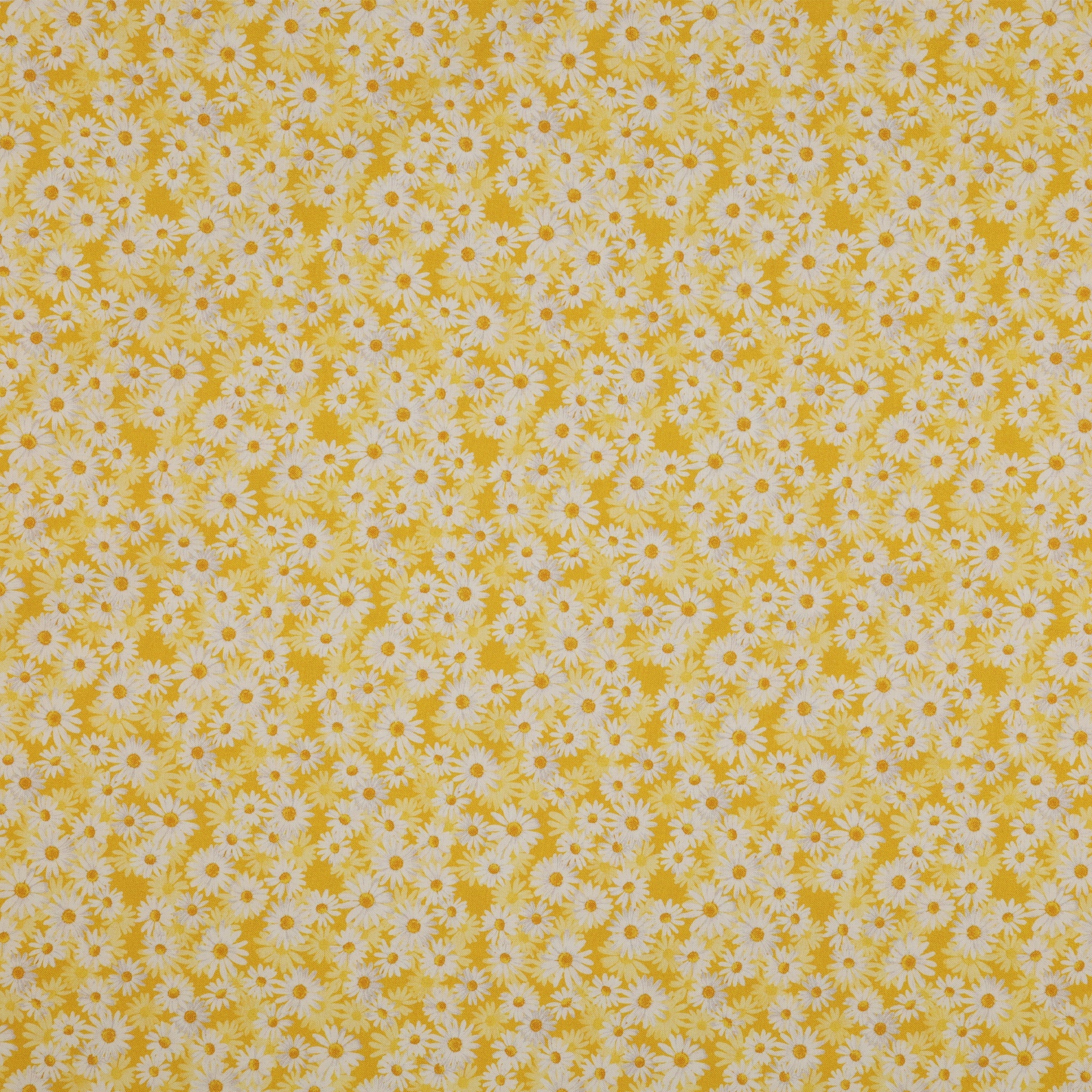 Daisy Dance 108" Wide Quilt Backing - Yellow