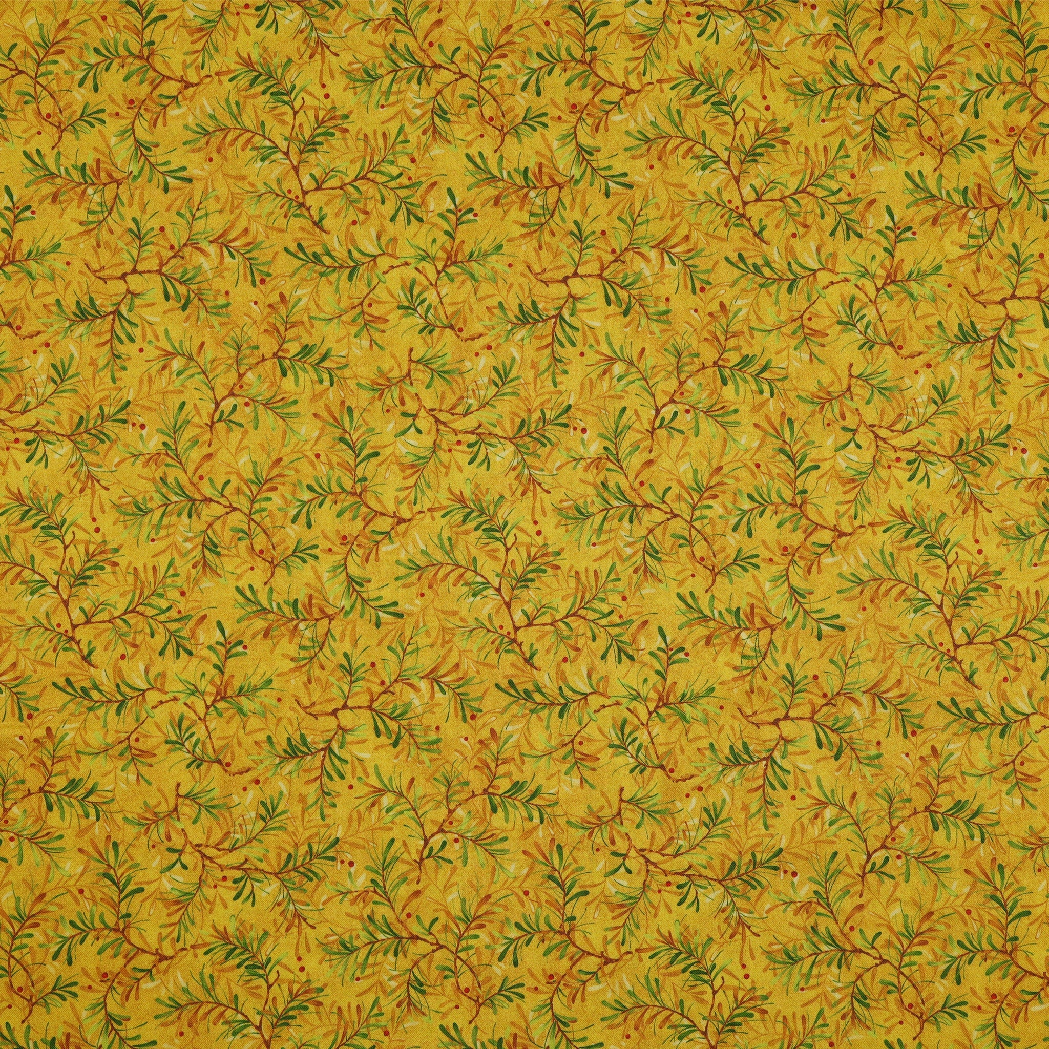 Star of Wonder, Star of Light 108" Wide Quilt Backing - Pine Boughs Gold