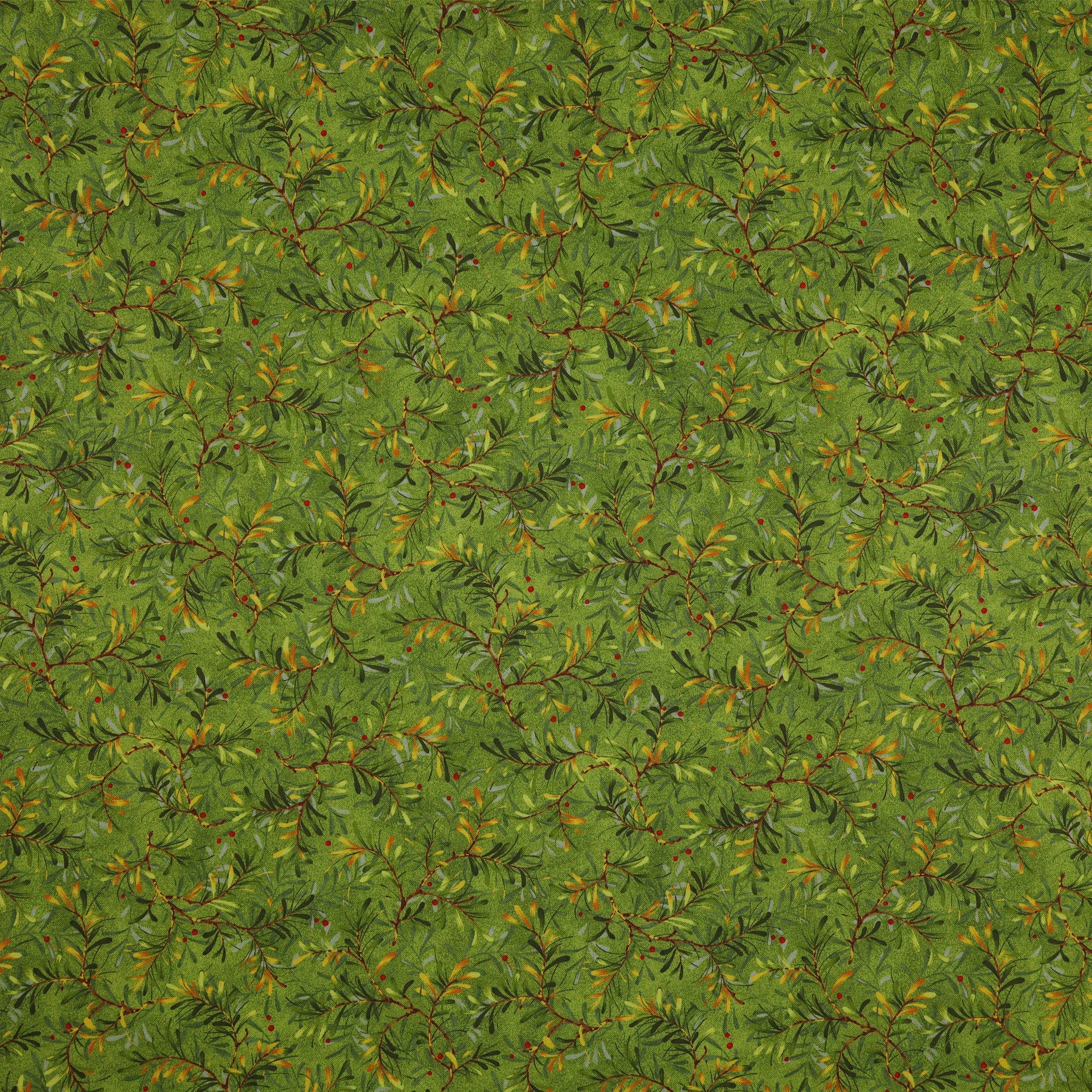 Star of Wonder, Star of Light 108" Wide Quilt Backing - Pine Boughs Moss