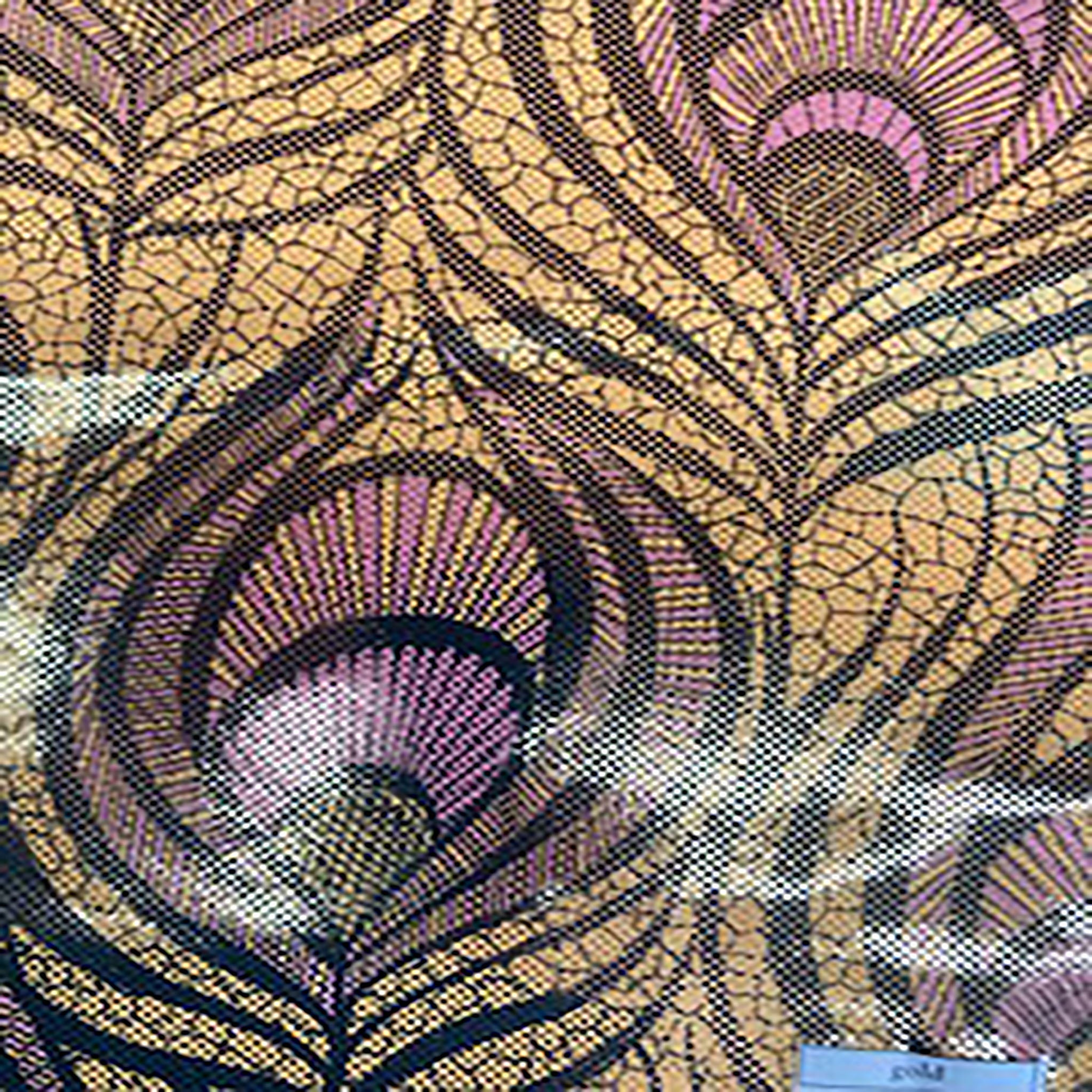 4 Way Nylon Spandex Peacock Magic Eye Foil | Spandex Palace Gold