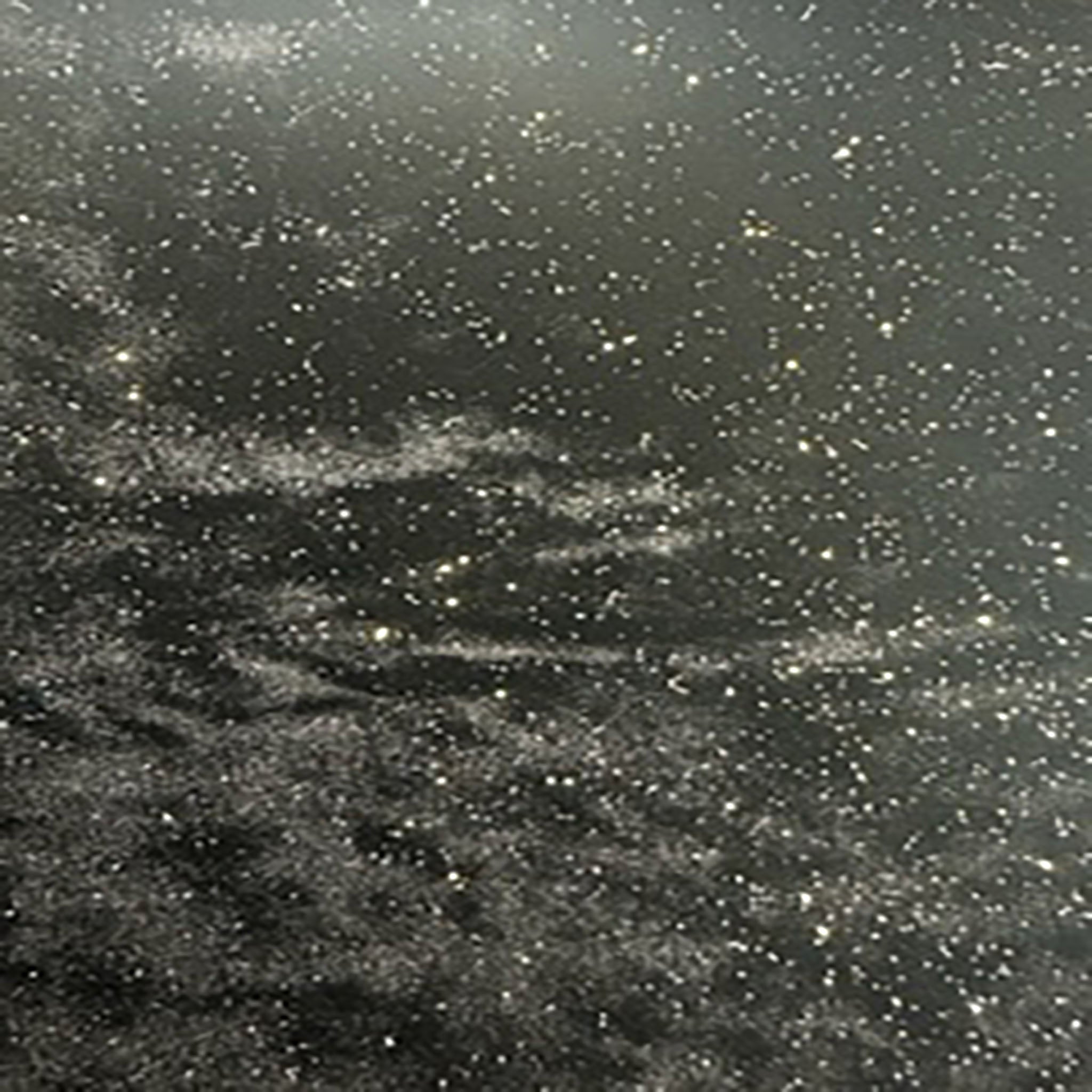 Polyester Velour With Tinny Metallic foil | Spandex Palace Black gold