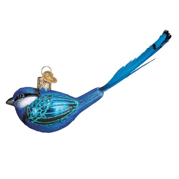 Hanging Fairy Wren
