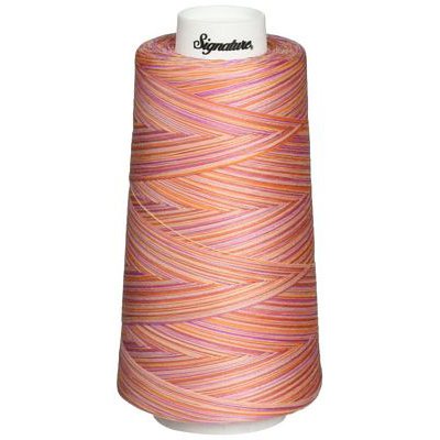 Signature Variegated Quilting Thread, 3000yds