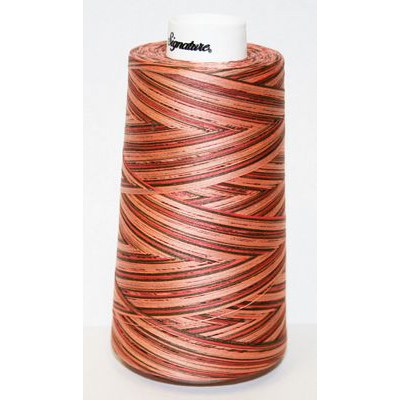 Signature Variegated Quilting Thread, 3000yds