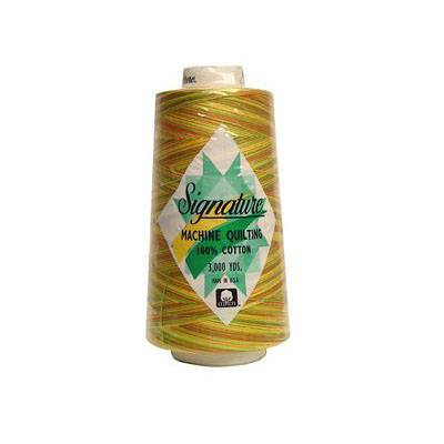 Signature Variegated Quilting Thread, 3000yds