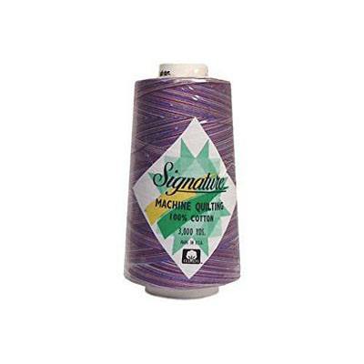 Signature Variegated Quilting Thread, 3000yds