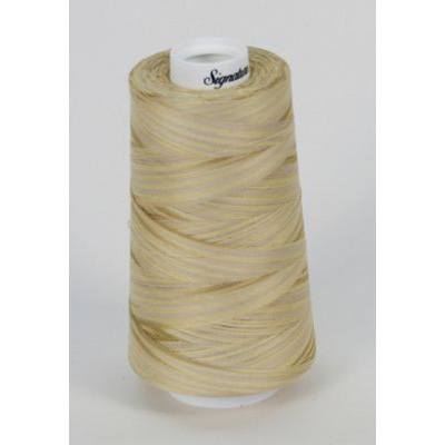 Signature Variegated Quilting Thread, 3000yds