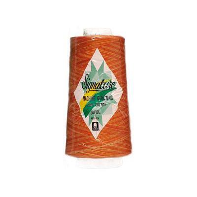 Signature Variegated Quilting Thread, 3000yds