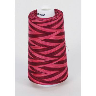 Signature Variegated Quilting Thread, 3000yds