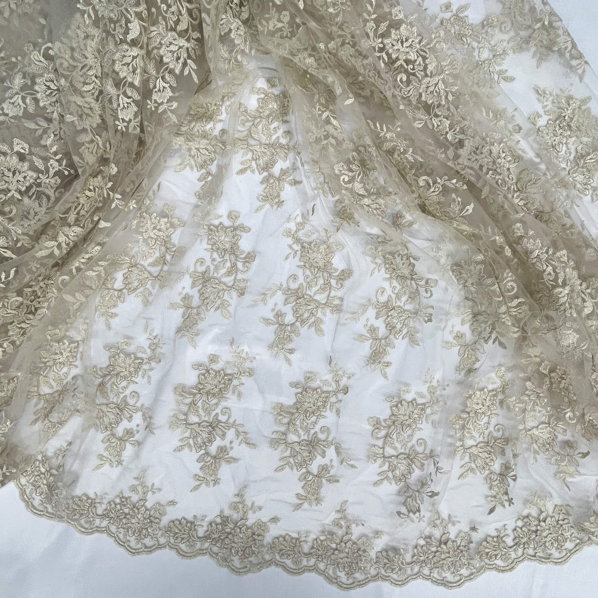 Corded Floral Lace Fabric with Scalloped Edges – Bridal & Dress Lace | Lace USA - 97154W