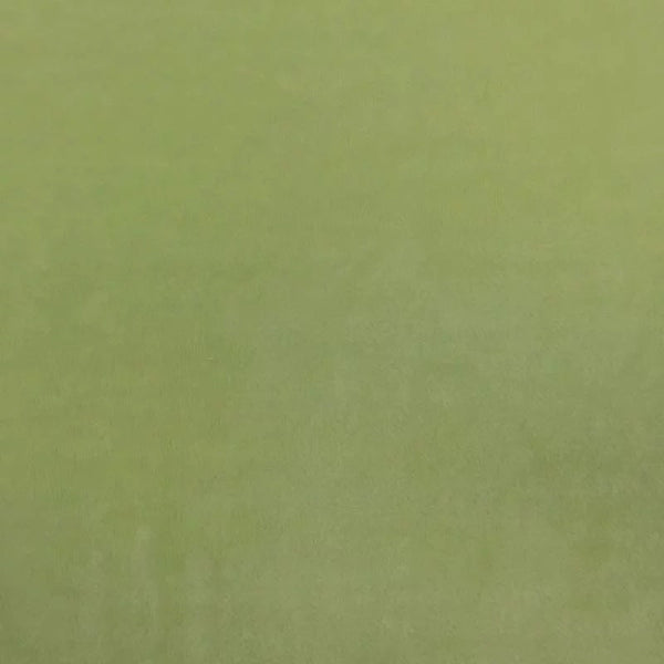 Asparagus Green Smooth Minky Faux Fur Fabric