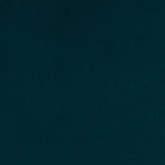 Bayou Cuddle 3 Extra Wide Solid Minky Fabric per yard