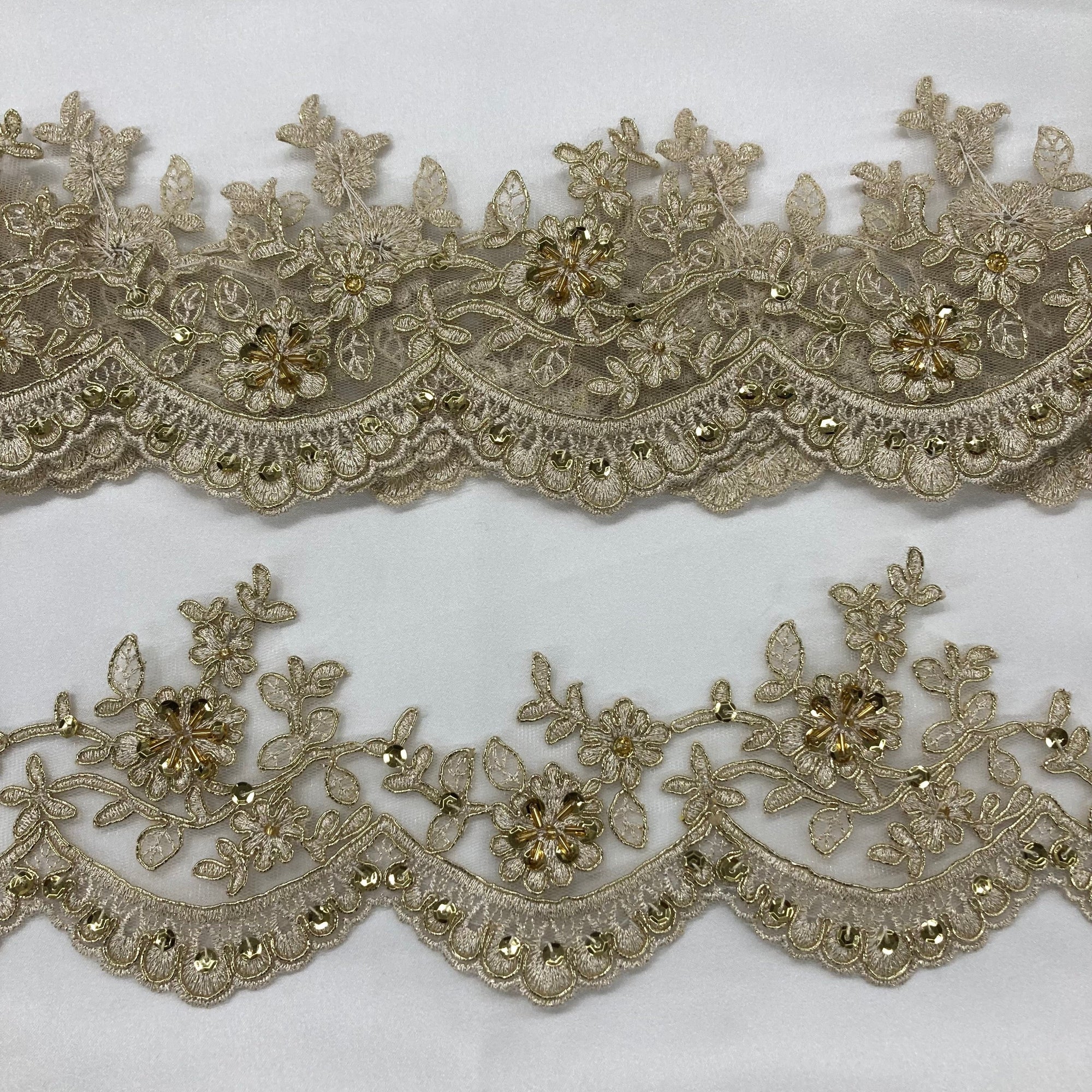 Beaded & Corded Floral scalloped Bridal Lace Trimming  | Lace USA - 96215W-BP