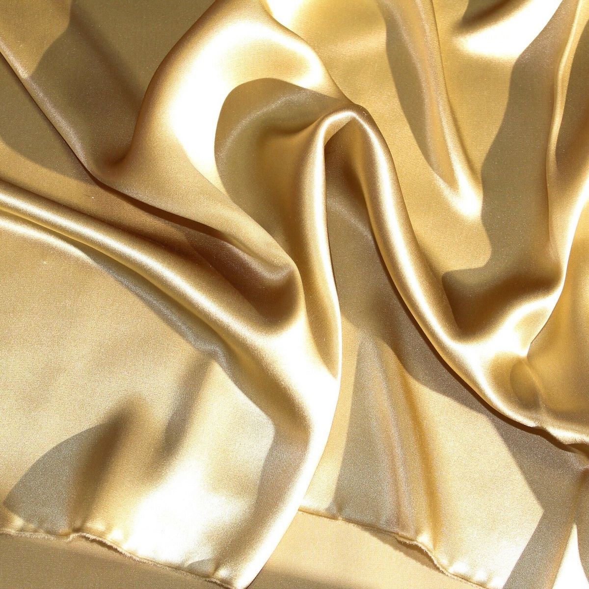 Silk Charmeuse Fabric