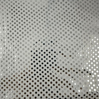 
Soft FDY Glued Sequin Polyester Spandex Fabric | Spandex Palace
White Silver