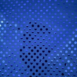 
Soft FDY Glued Sequin Polyester Spandex Fabric | Spandex Palace
Royal