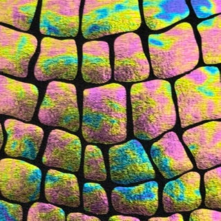llusion Reptile Scale Print Nylon Spandex Tricot Fabric | Spandex Palace Black
