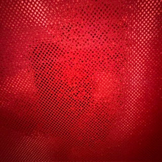 Hologram Dot Stretch Nylon Spandex Tricot | Spandex Palace Red