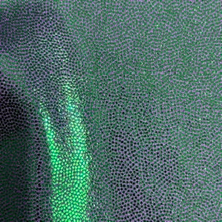 Two Tone Foggy Foil  4 Way Stretch Nylon Spandex Tricot Fabric | Spandex Palace Plum Green