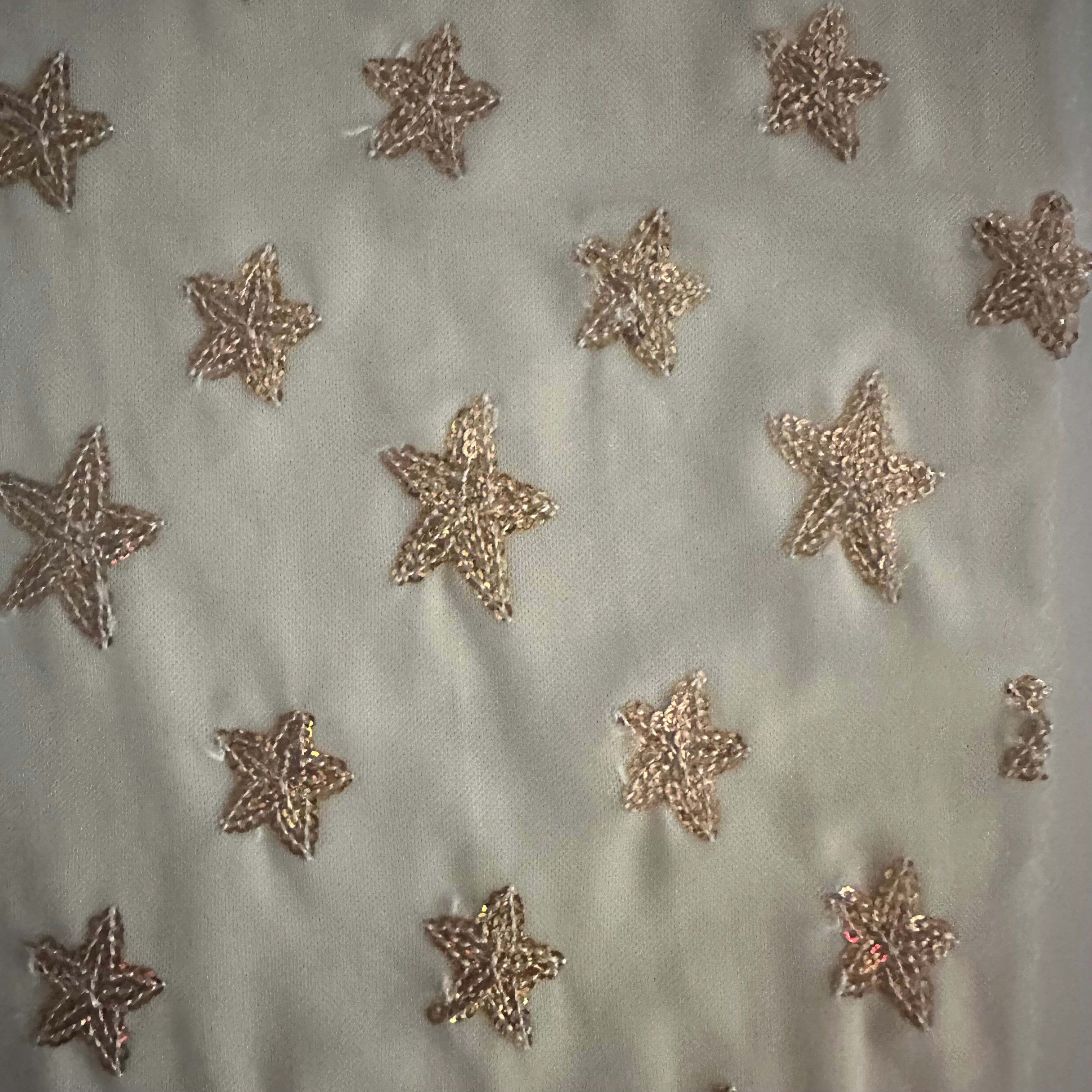 Power Mesh Starfish Sequin 4 way Stretch Fabric | Spandex Palace