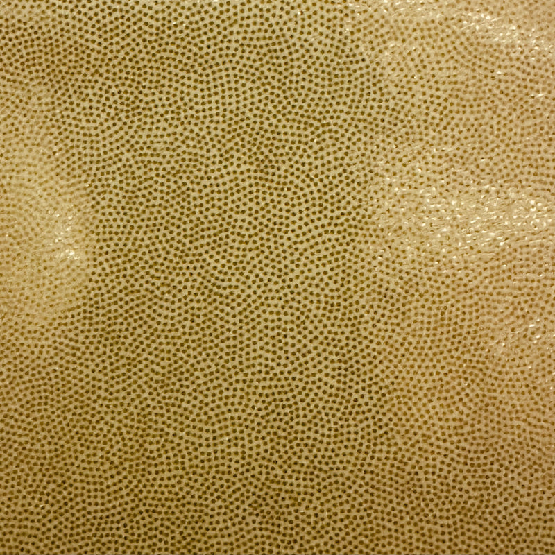 Foggy Foil on Stretch Poly Spandex Fabric  |Spandex Palace Gold
