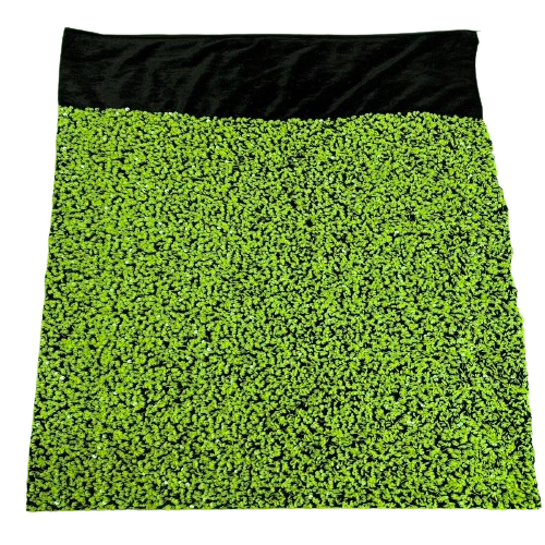 Lime Green | Black Sequins Embroidered Stretch Velvet Rodeo Fabric