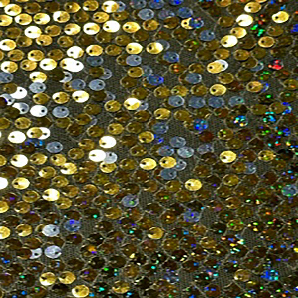 Embroidery Polyester Flipper Sequin On Mesh Fabric | Spandex Palace Gold Silver