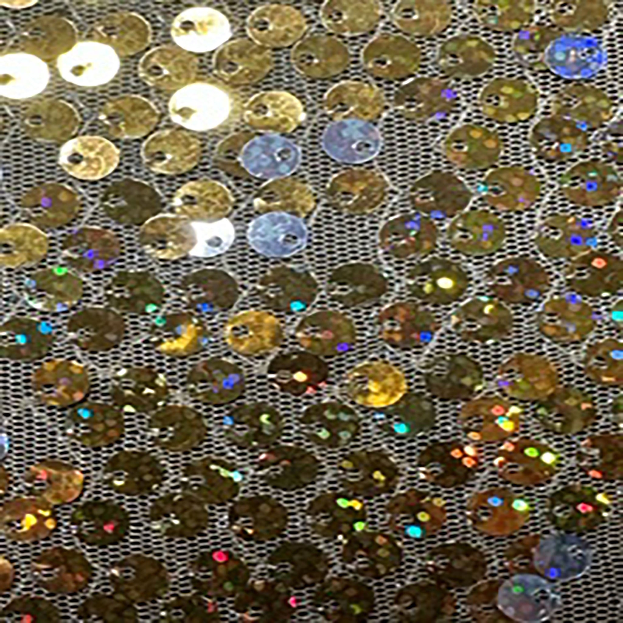 mbroidery Polyester Flipper Sequin On Mesh Fabric | Spandex Palace Gold Silver
