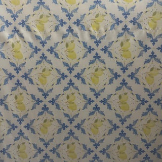 Lemon Swimwear Nylon Spandex Tricot Fabric | Spandex Palace White
