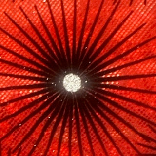 Dazzling Star Stretchy Flocked Hologram Spandex Fabric | Spandex Palace Red