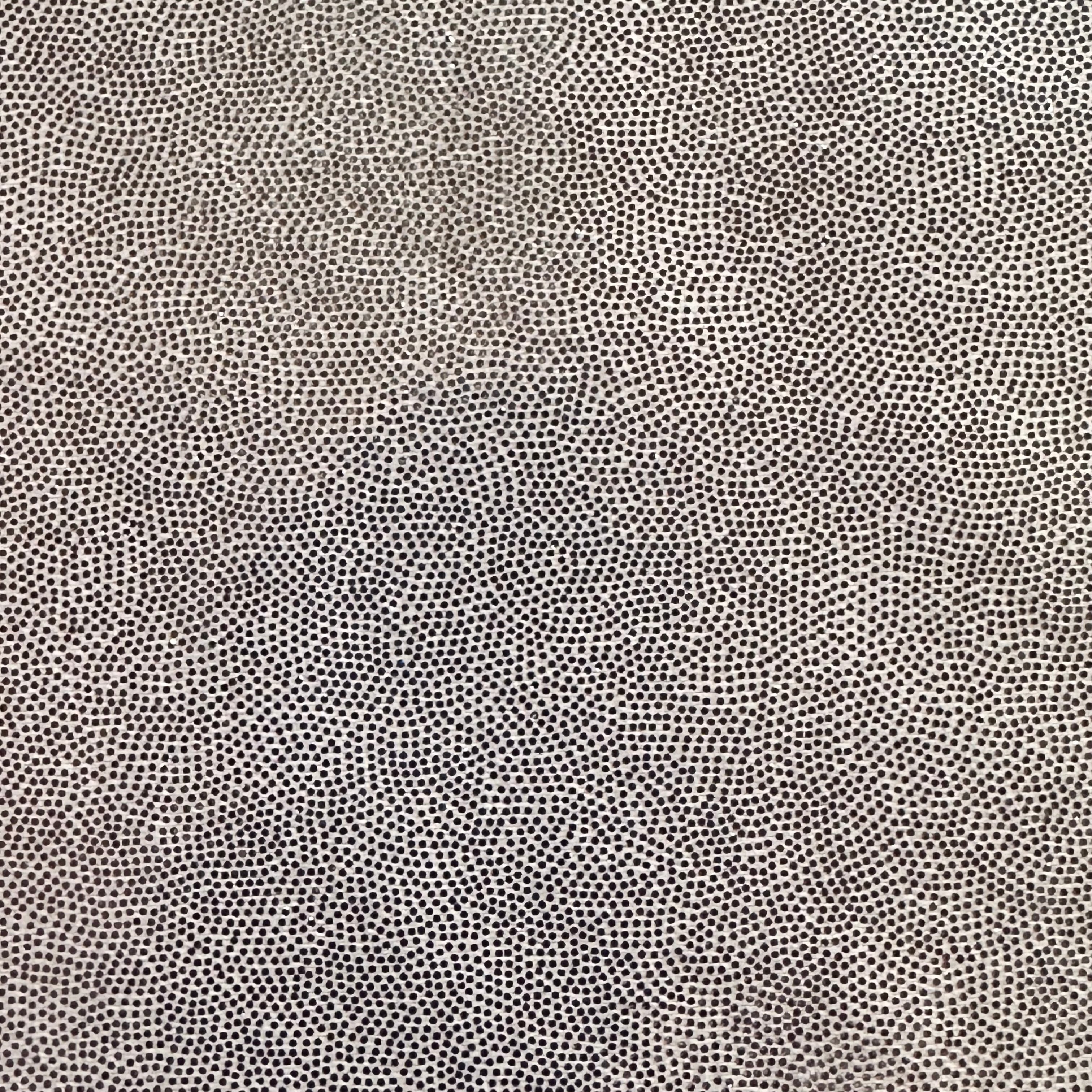 Foggy Foil Nylon Spandex 4 way Stretch Tricot Fabric | Spandex Palace