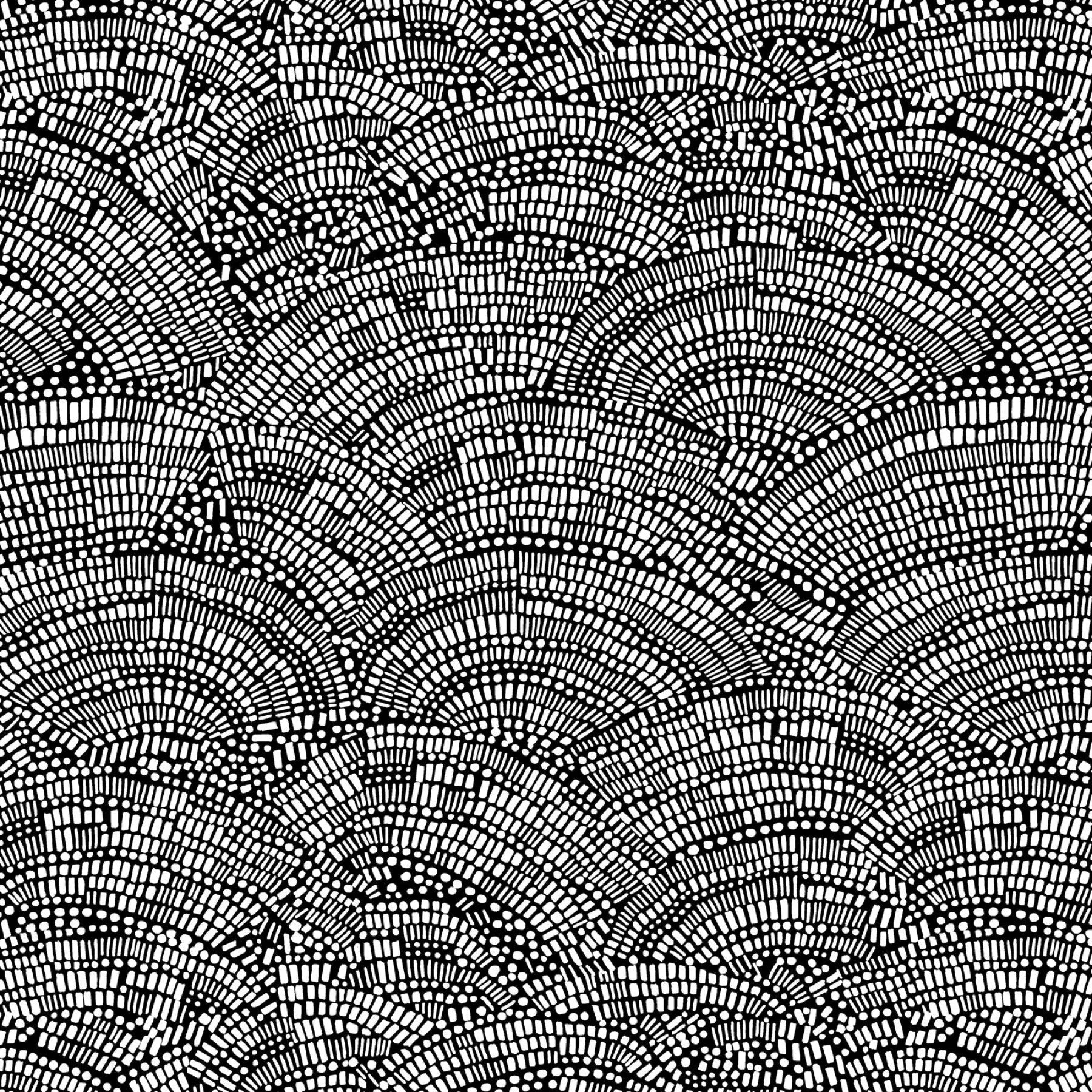 Not So Black and White Mosaic Fan Cotton Wideback Fabric Per Yard