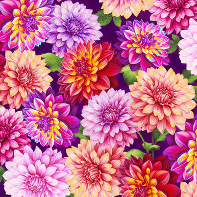 Purple Dahlias Blissful Blooms Cotton 43"/44" Fabric Per Yard