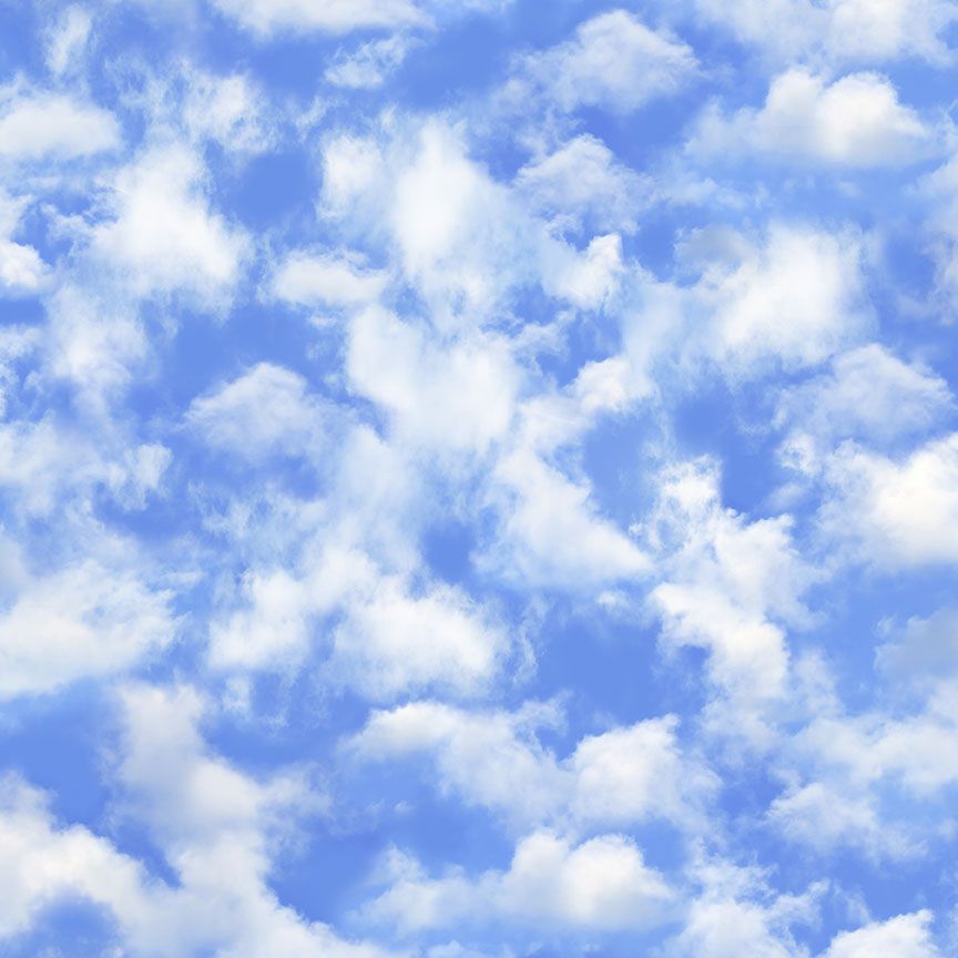 Blue Sky Fitness Fanatic 44"/45" Fabric Per Yard